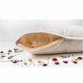 CALME – STANDARD